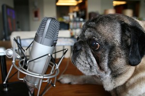 On Radio: The Practice of Podcasting