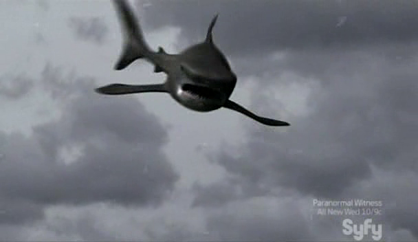 flying.shark