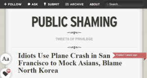 Shame On(line) You: Social Activism, Racist Tweets, and Public Shaming