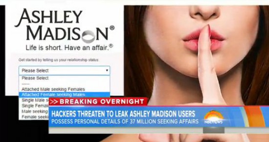Ashley Madison, Rentboy, and Dirty, Dirty Internet Sex